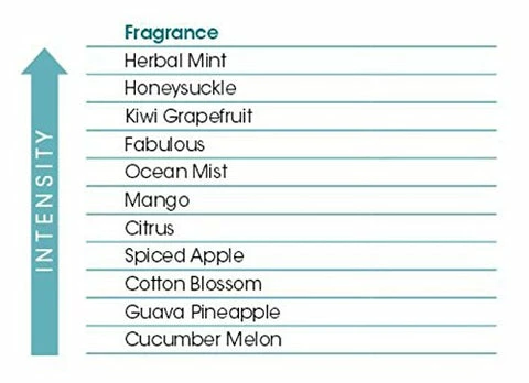 Best reviews of π Fresh Products Easy Fresh 2.0 Room Air Freshener Refill - Honeysuckle, 2-Pack π 2 Best reviews of π Fresh Products Easy Fresh 2.0 Room Air Freshener Refill - Honeysuckle, 2-Pack π - Image 2